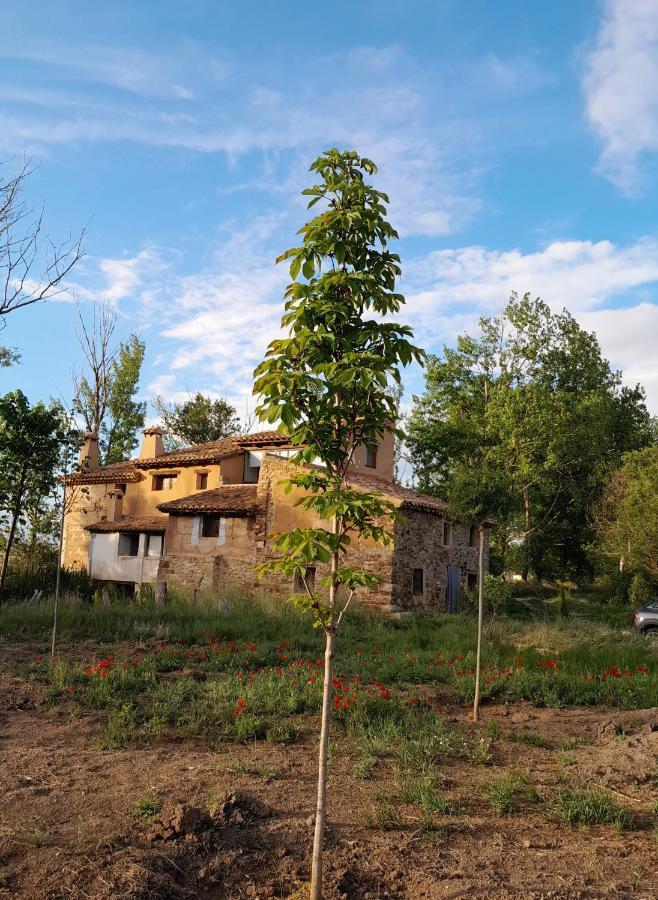 Penzion Molino Del Buho Torre la Cárcel Exteriér fotografie